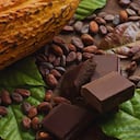 El cacao araucano llegó al centro histórico de Bogotá.