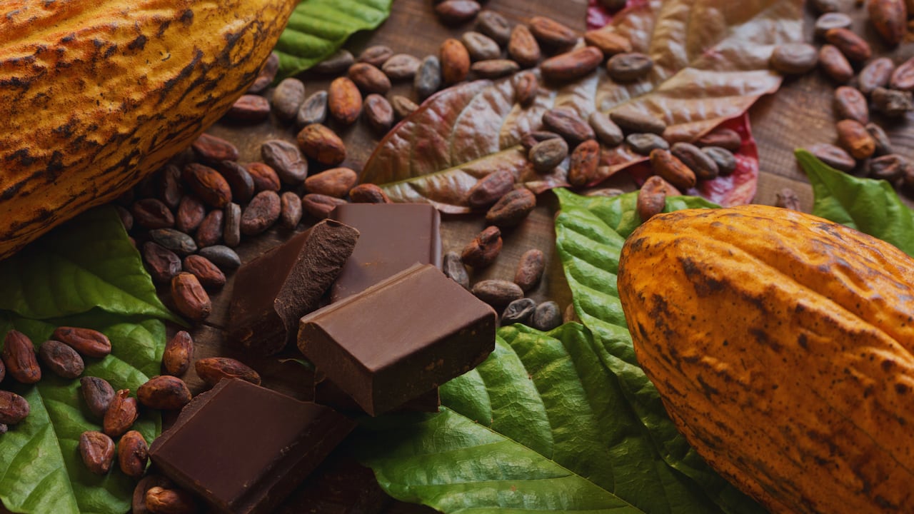 El cacao araucano llegó al centro histórico de Bogotá.