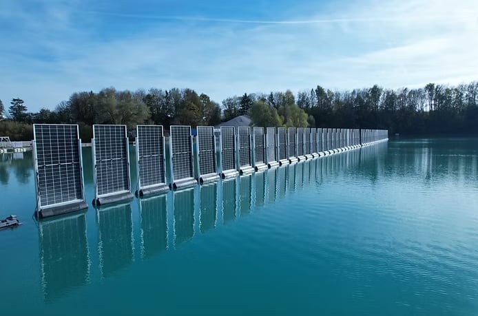 Animales acuáticos usan las estructuras solares como nuevos refugios