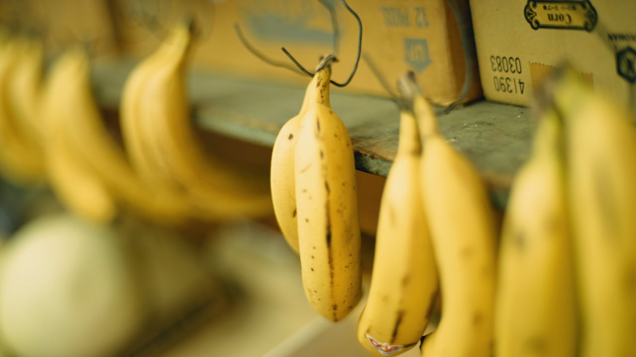 La cáscara de banano es rica en carbohidratos y nutrientes, como potasio, magnesio y vitamina B-6 y B-12.