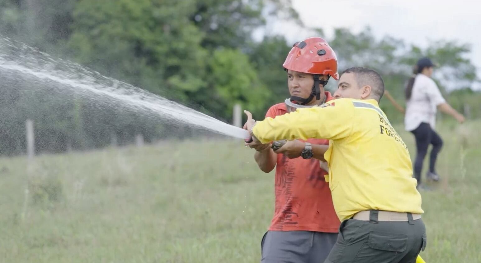 Brigadas forestales.