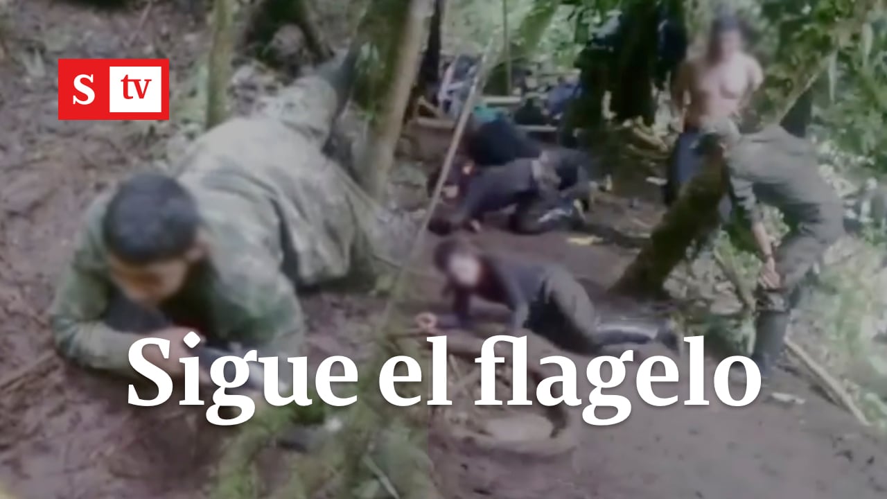 sigue el flagelo