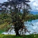 El pueblo más tranquilo de Colombia