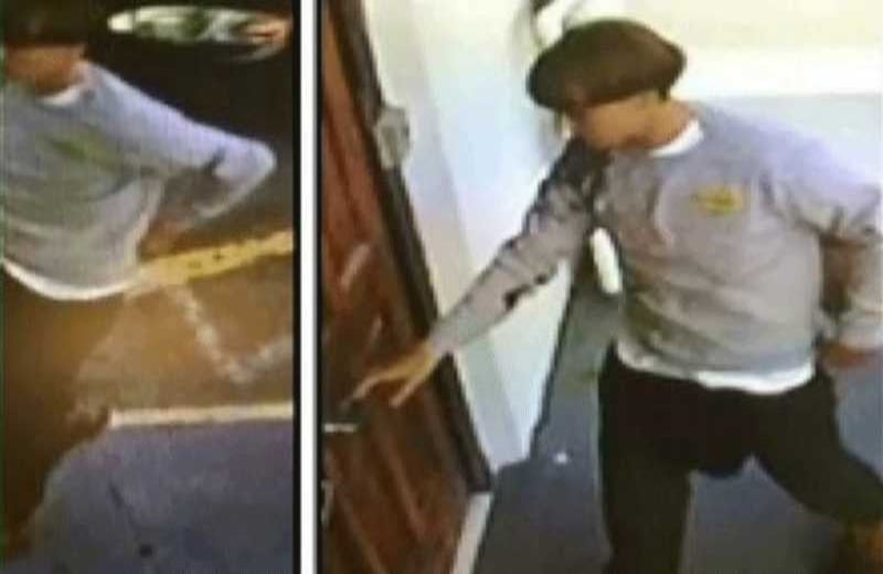 En la tarde del 17 de junio de 2015, el joven de 21 años Dylan Roof entró a una iglesia metodista africana en Charleston, Carolina del Sur, y mató a 9 personas, incluyendo al pastor de la iglesia. Roof fue detenido al día siguiente, confesando que cometió la masacre inspirado por las ideas de la supremacía blanca.