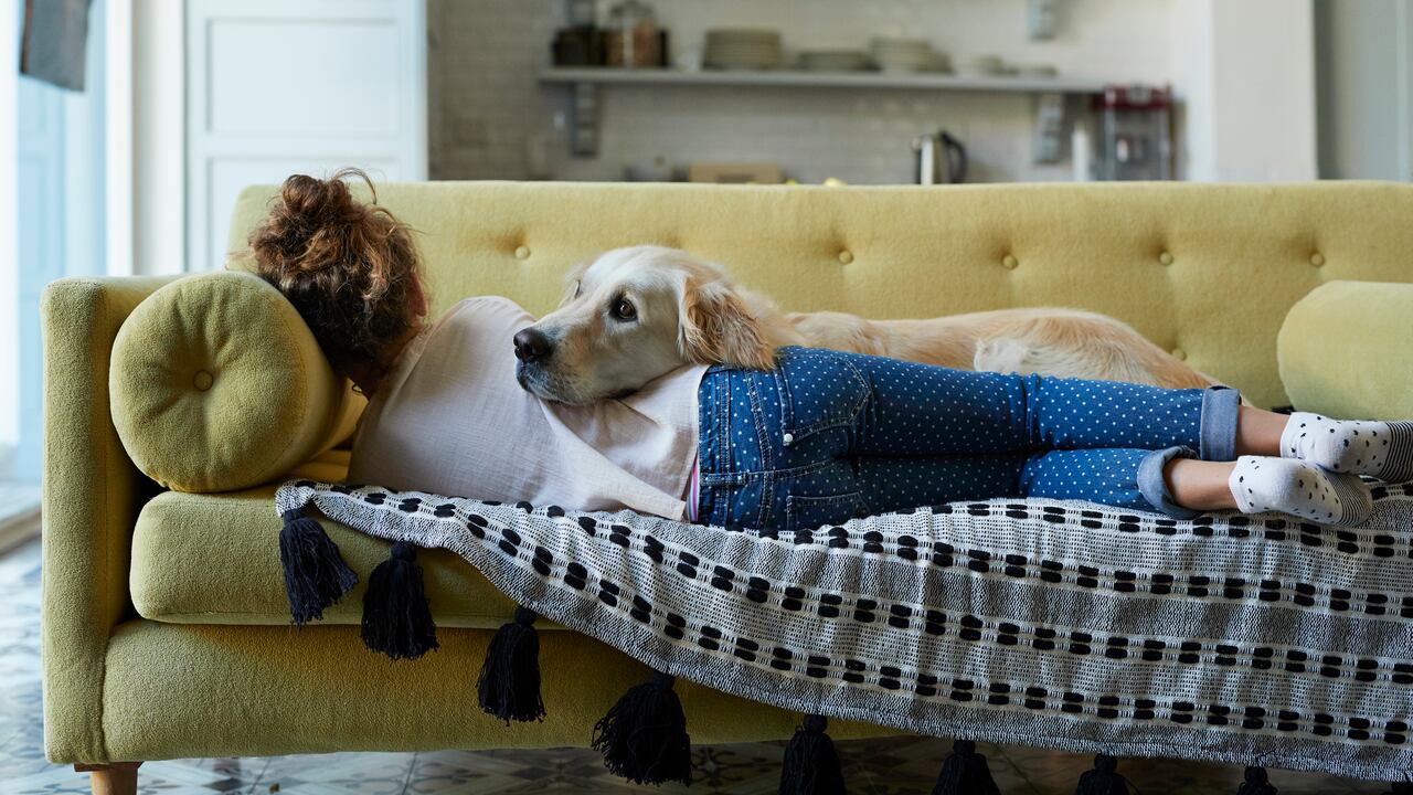 Los perros pueden predecir que as personas estén enfermas.