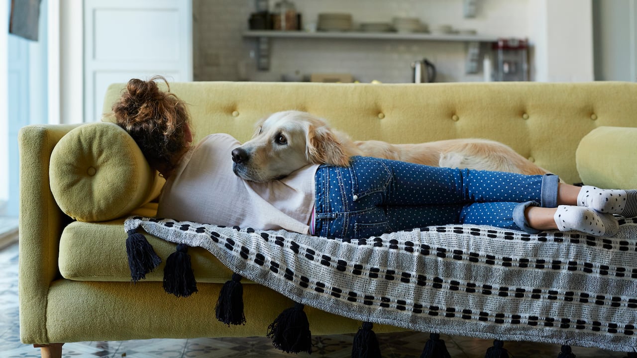 Los perros pueden predecir que las personas estén enfermas.