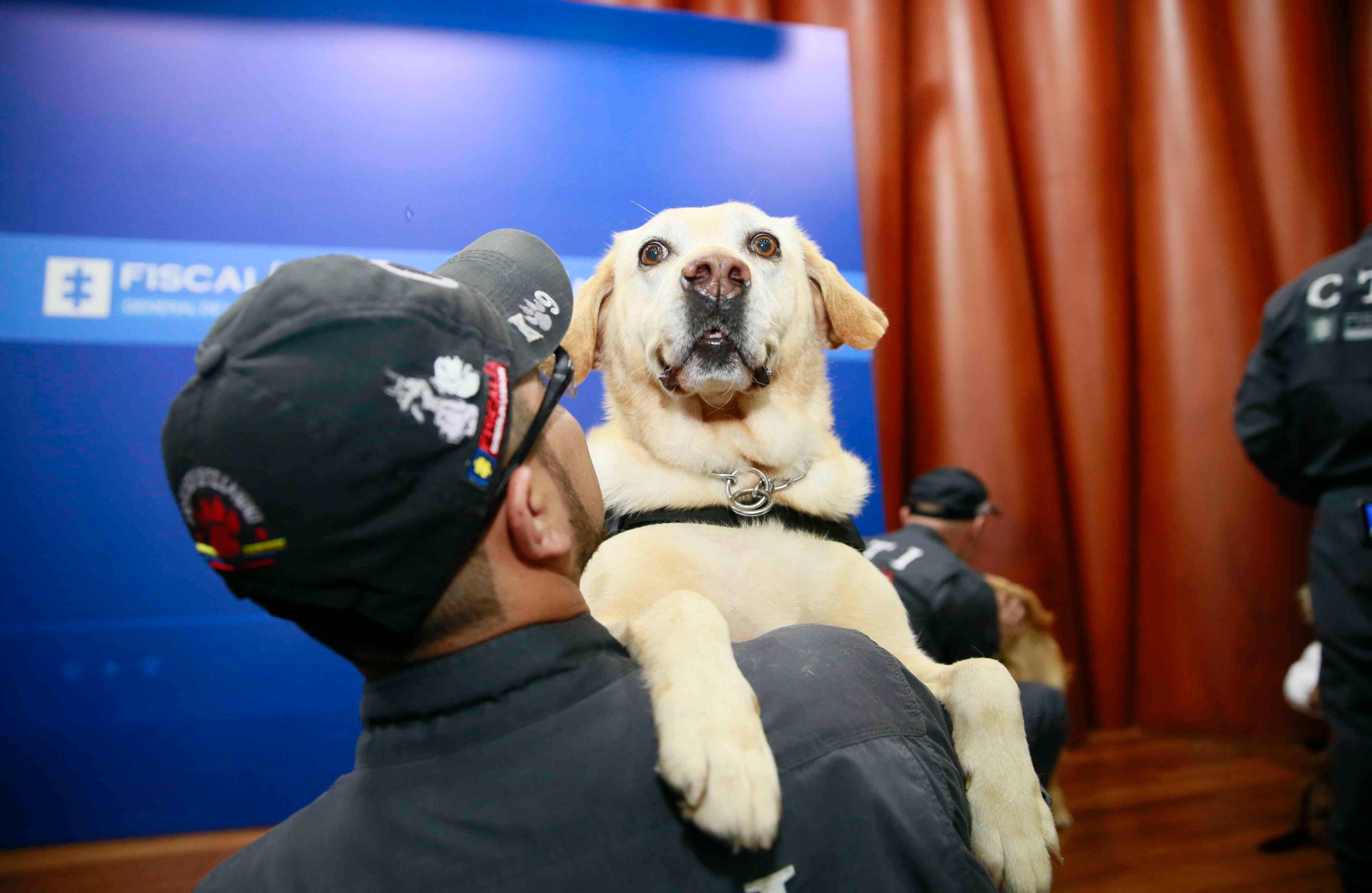 Fueron jubilados a sus 8 años de servicio.