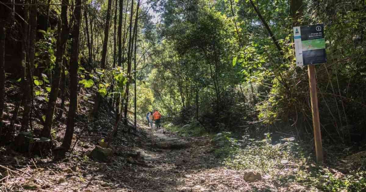La quebrada La Vieja ofrece varios senderos para recorrer.
Foto:  Diego Téllez (CAR).