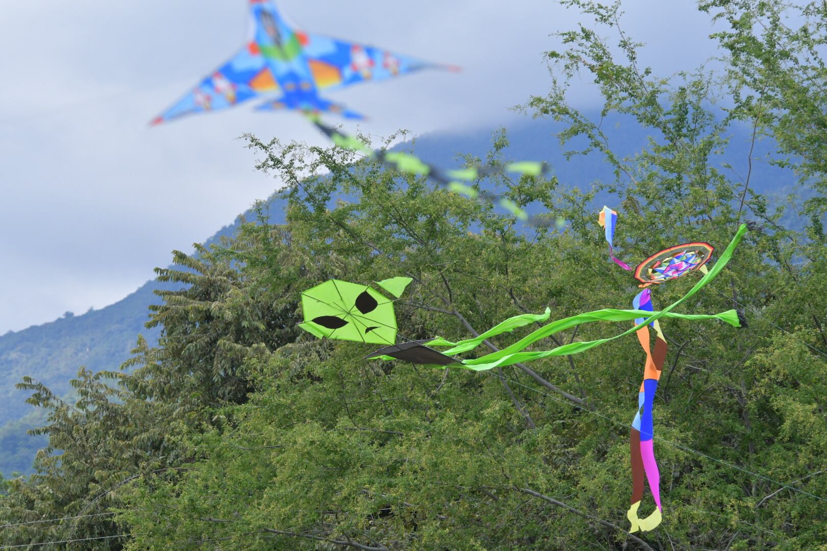 Festival departamental de cometas "paraíso de todos". Este festival se realiza en el municipio de cerrito en la hacienda el paraíso.