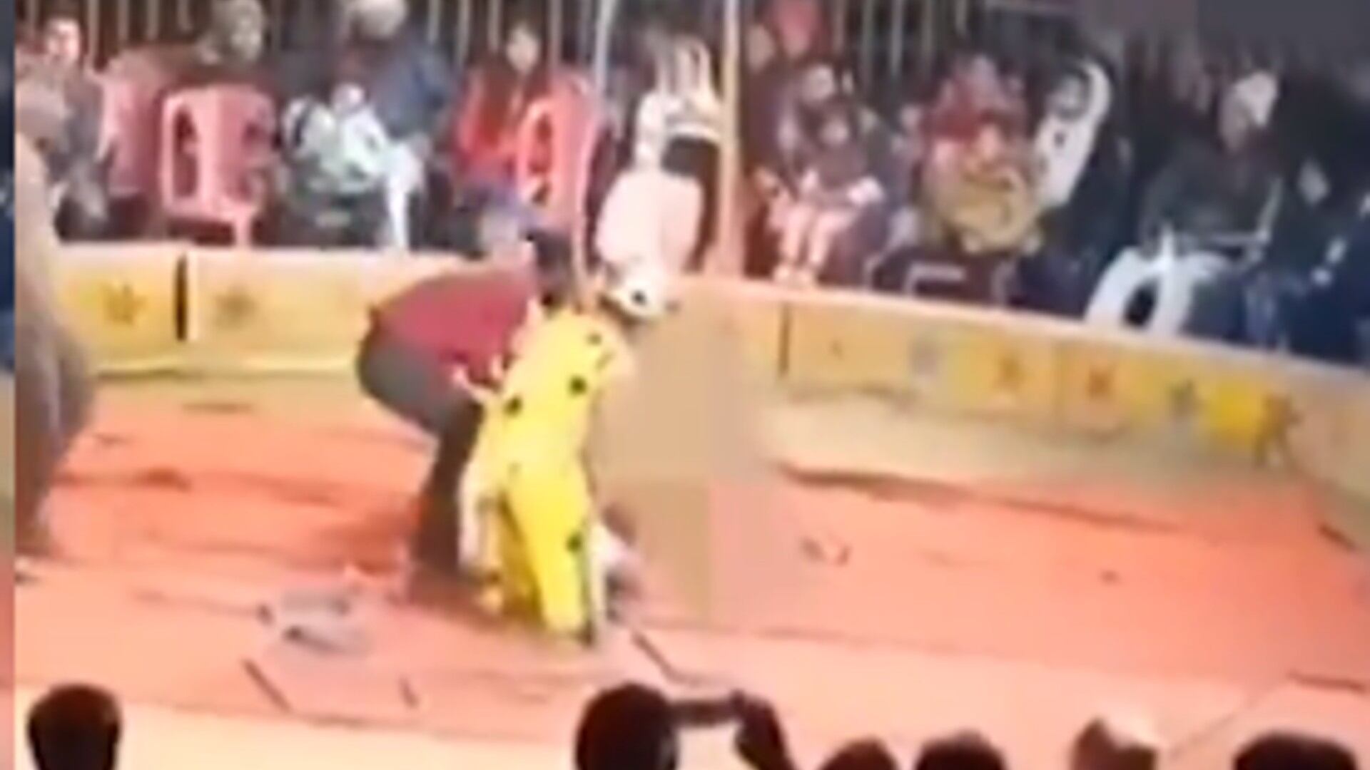 La mujer se ahorcó en medio de su show.