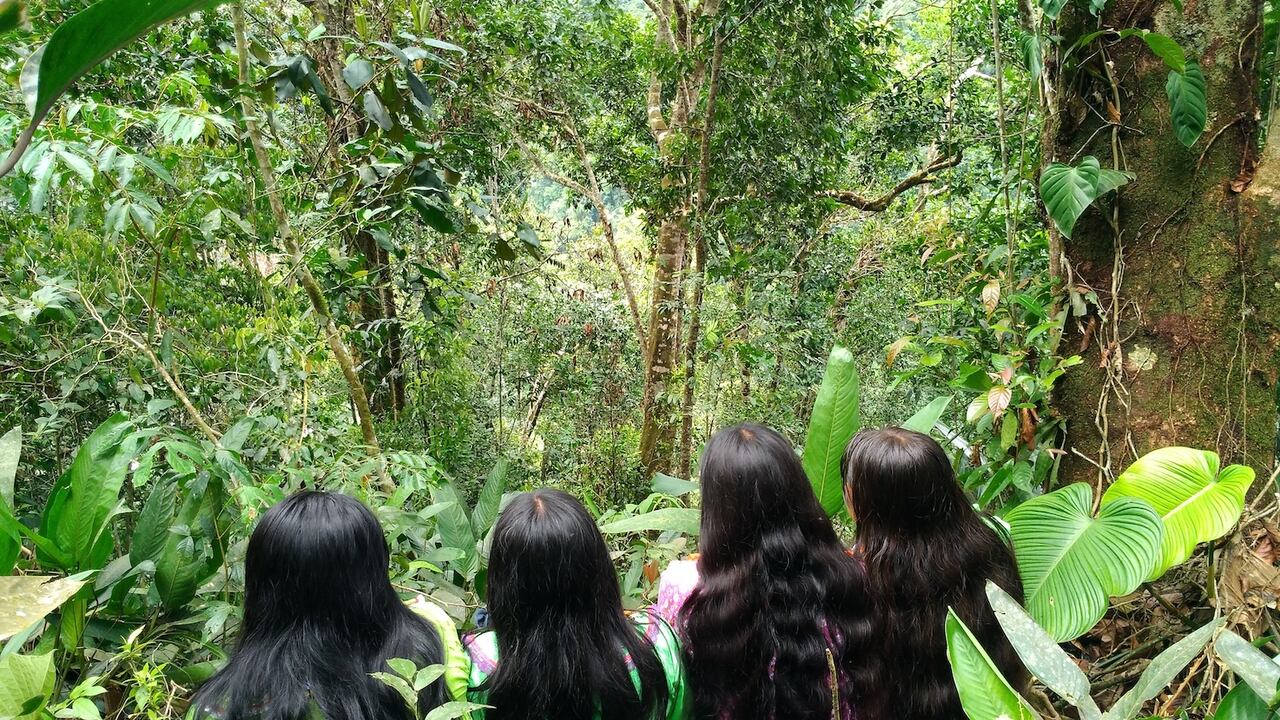 ‘Biabu chupea / Un grito en el silencio’, de Priscila Padilla