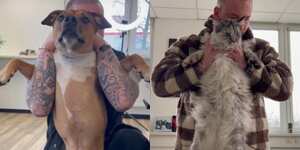 Mascotas en consulta con quiropráctico.