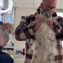 Mascotas en consulta con quiropráctico.