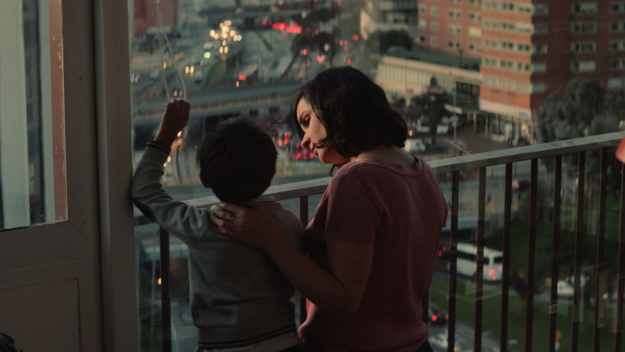 'Litigante' (Franco Lolli, 2019, 95 min), coproducción entre Colombia y Francia, se presenta en la sala 2 a las 7:30 p.m.