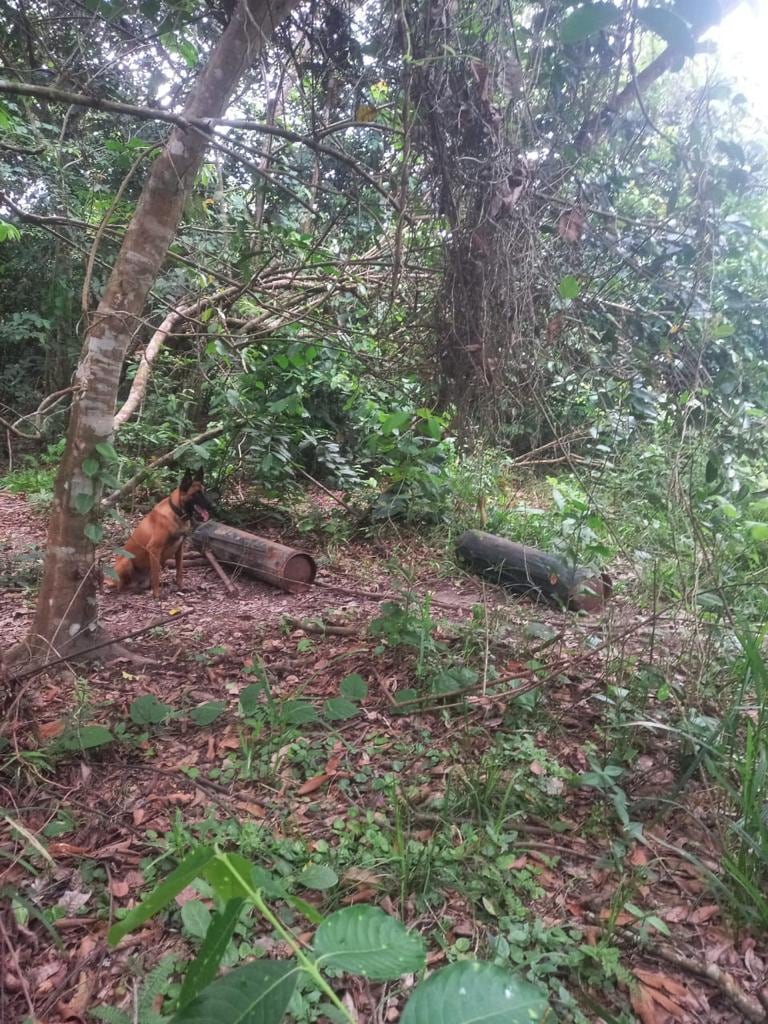 Los explosivos fueron detonados de forma controlada.