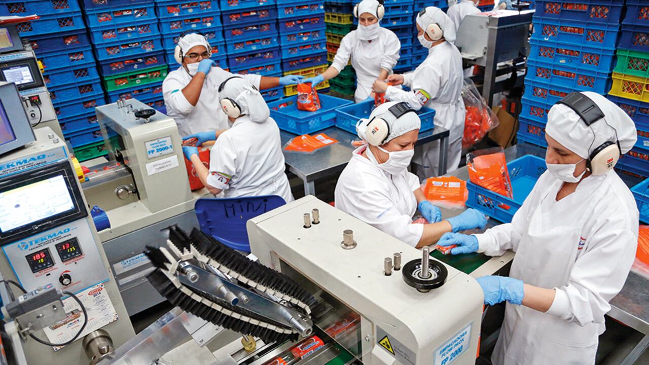 El empleo en Bogotá se está recuperando