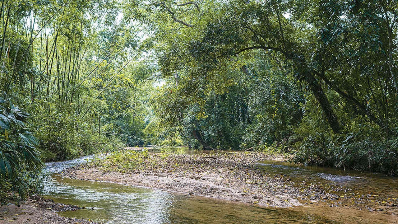 Foto: Felipe Villegas / Instituto Humboldt