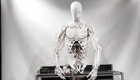 Prototipo de robot humanoide presentado en 2024.