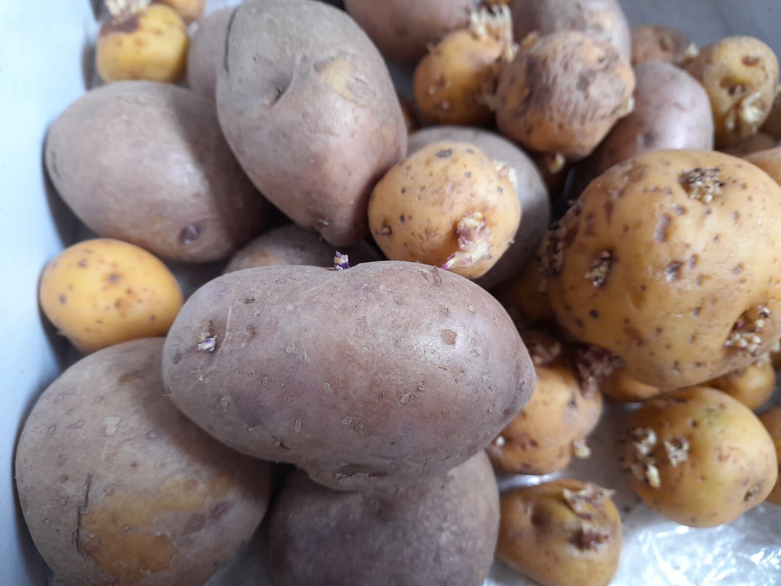 En Armenia todavía no se registra falta de productos