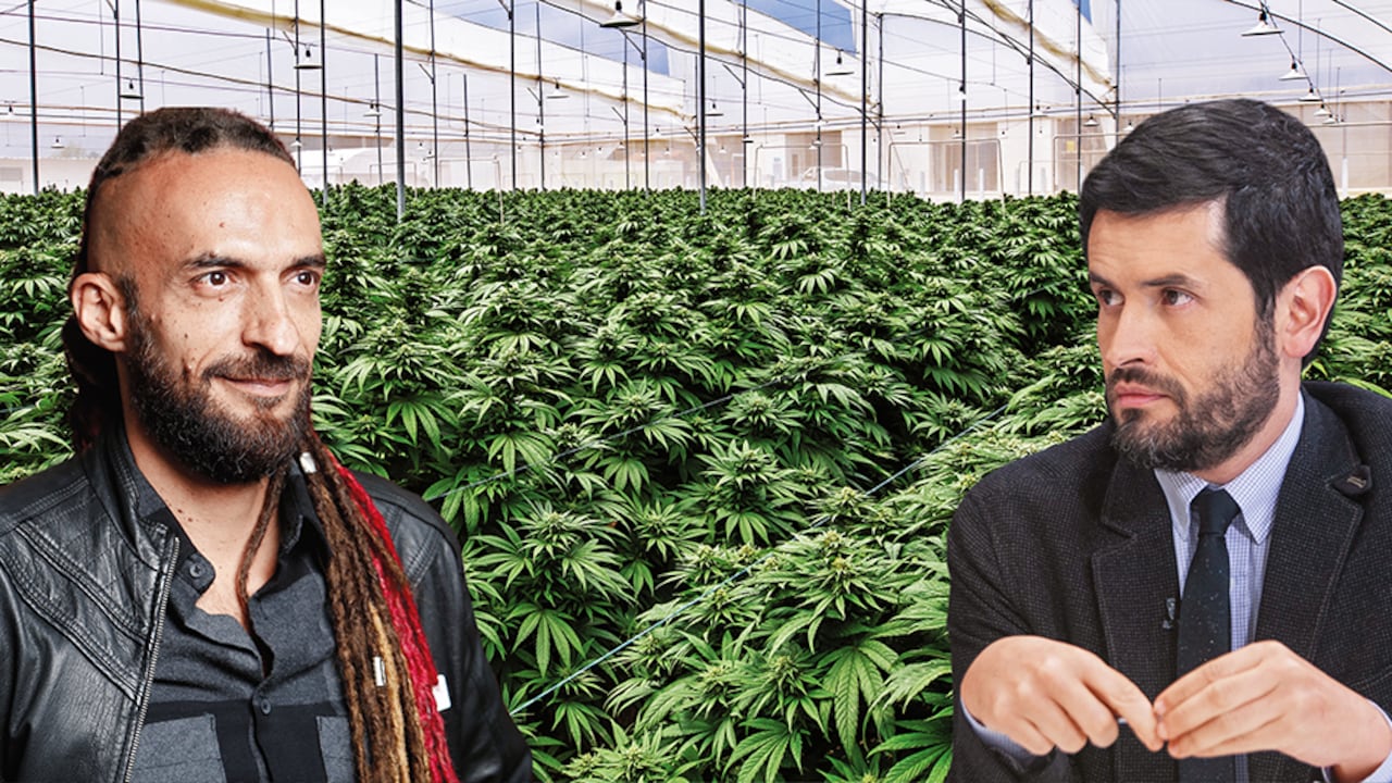 El representante Daniel Carvalho confesó en la plenaria que consume marihuana. Es uno de los impulsores del proyecto radicado por su colega, Juan Carlos Losada.