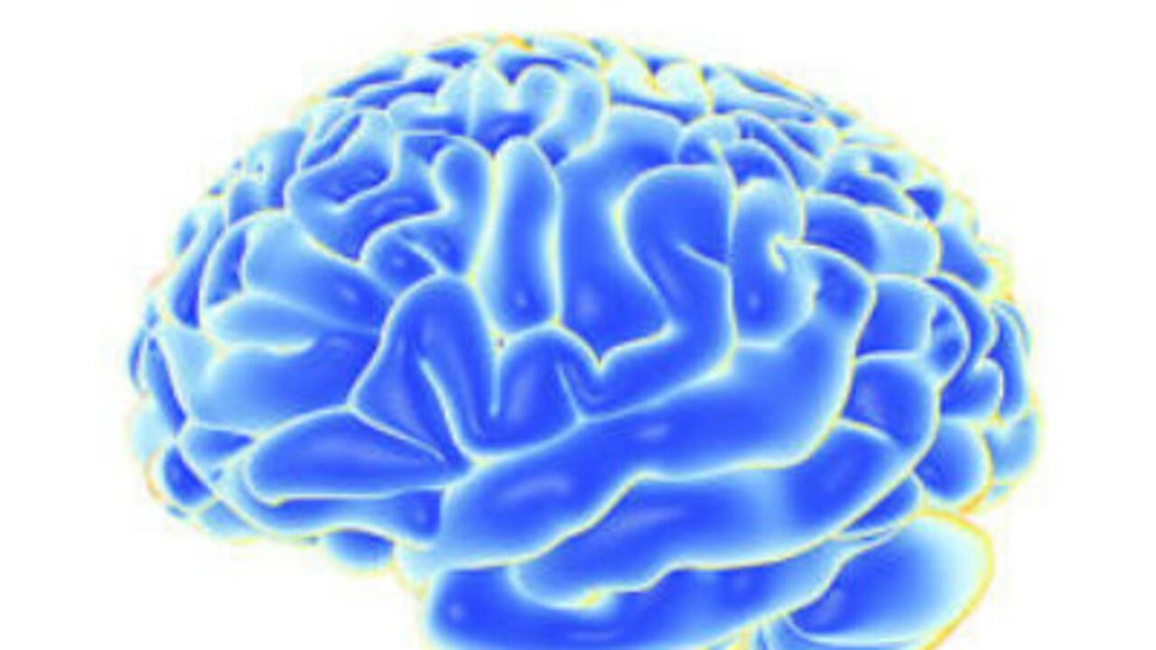 El implante restauró funciones cerebrales que los monos habían perdido.