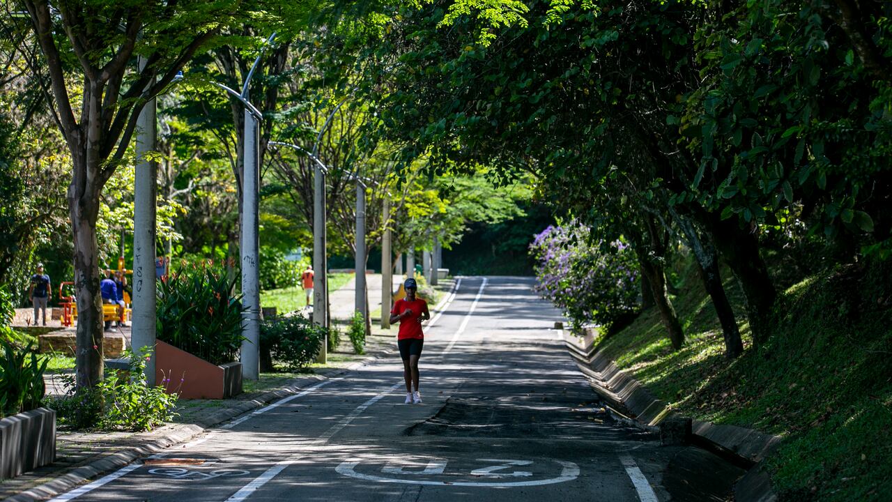 El Plan Siembra tiene la meta de sembrar un millón de árboles en el Valle de Aburrá a 2023.