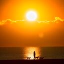 (Frank Gunn/The Canadian Press via AP)