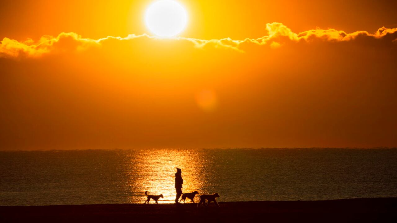 (Frank Gunn/The Canadian Press via AP)