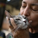 Mujer conmovió en el reencuentro con su gato, tras el terremoto en Colombia.