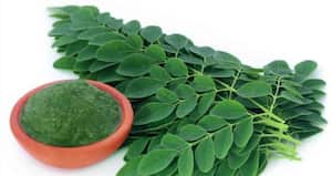 ¿Qué propiedades tiene la moringa y para qué sirve?