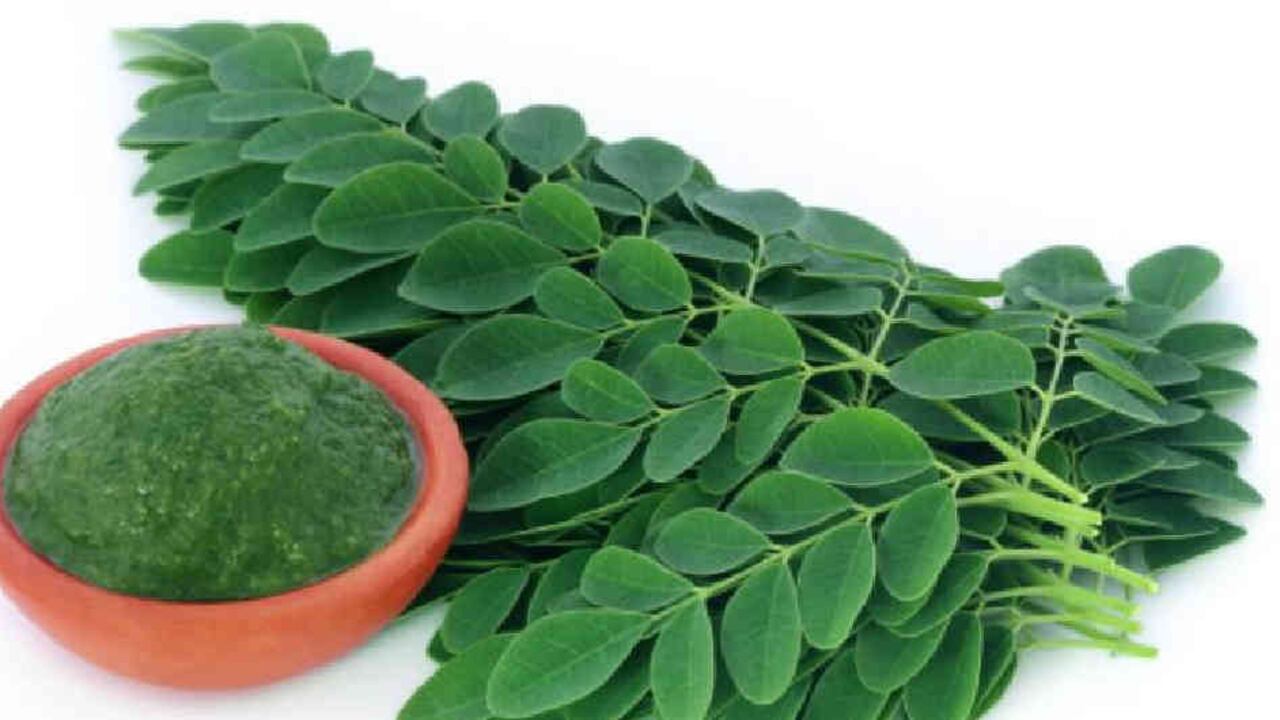 ¿Qué propiedades tiene la moringa y para qué sirve?