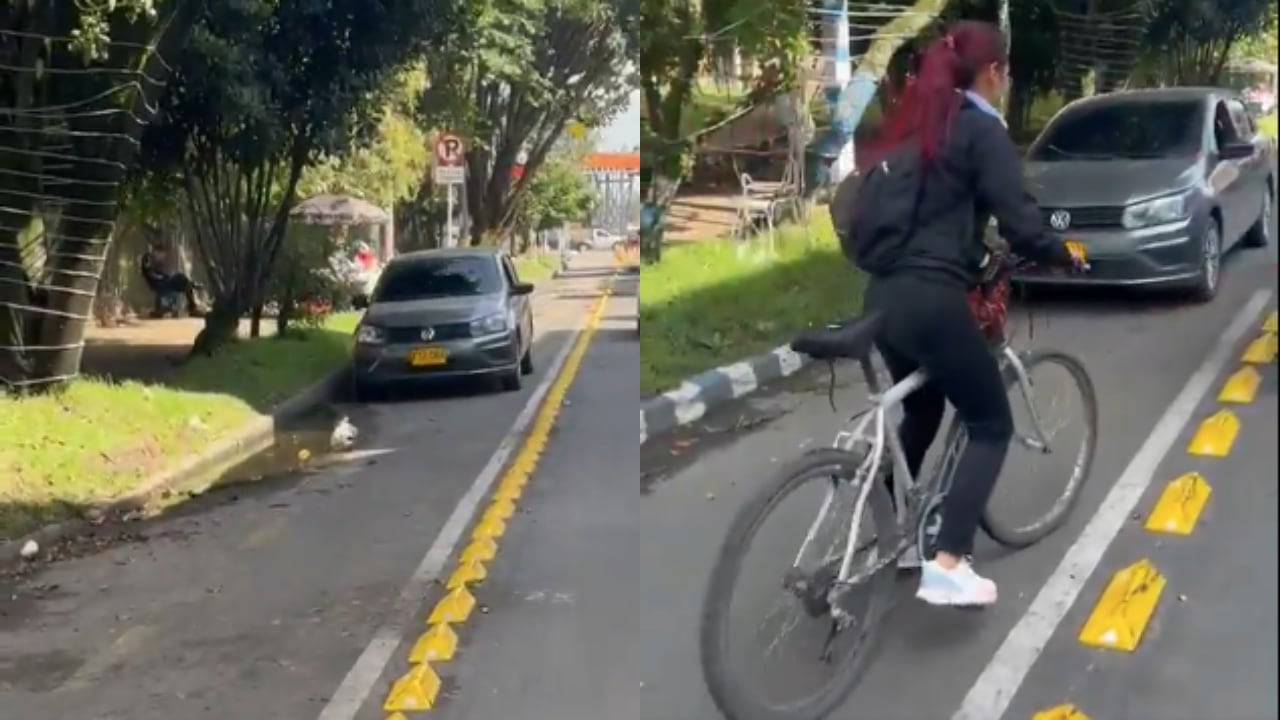 El carro invadiendo la cicloruta en Bogotá.