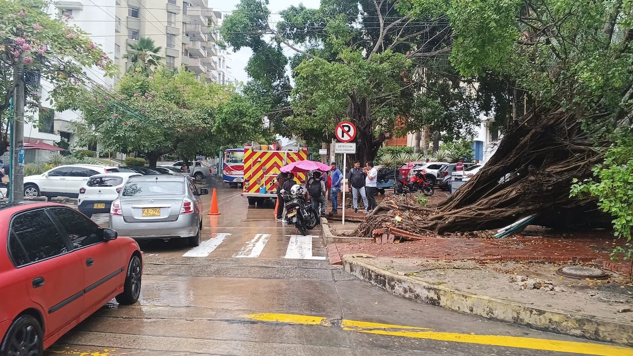 Lluvias provocaron emergencias por caídas de árboles y vehículos atrapados en arroyos en el centro y norte de Barranquilla.