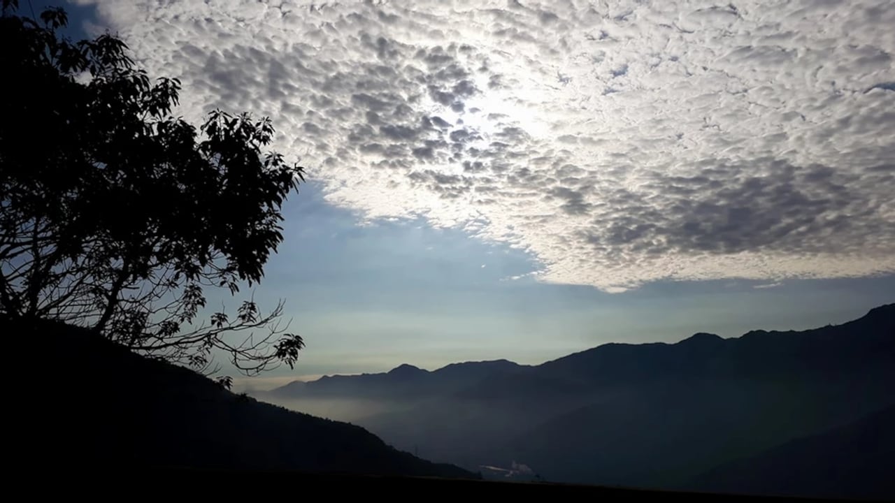 La fundación realiza labores de recuperación de árboles y arbustos frutales propios del sector con el fin de recobrar o reintroducir la fauna dispersa o en peligro de extinción y restablecer sus poblaciones.