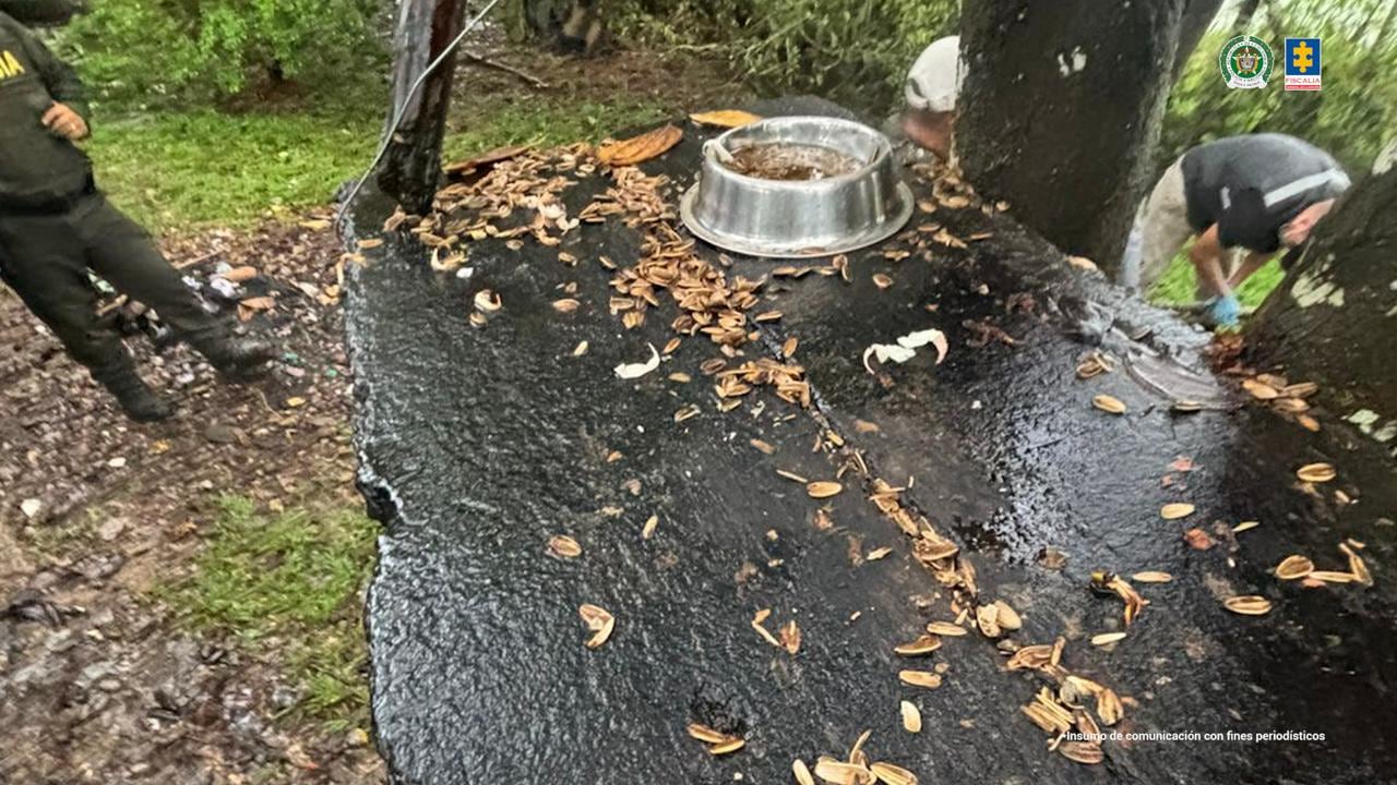 Jesse Adonai Daza, un creador de contenido fue enviado a la cárcel por maltrato animal.