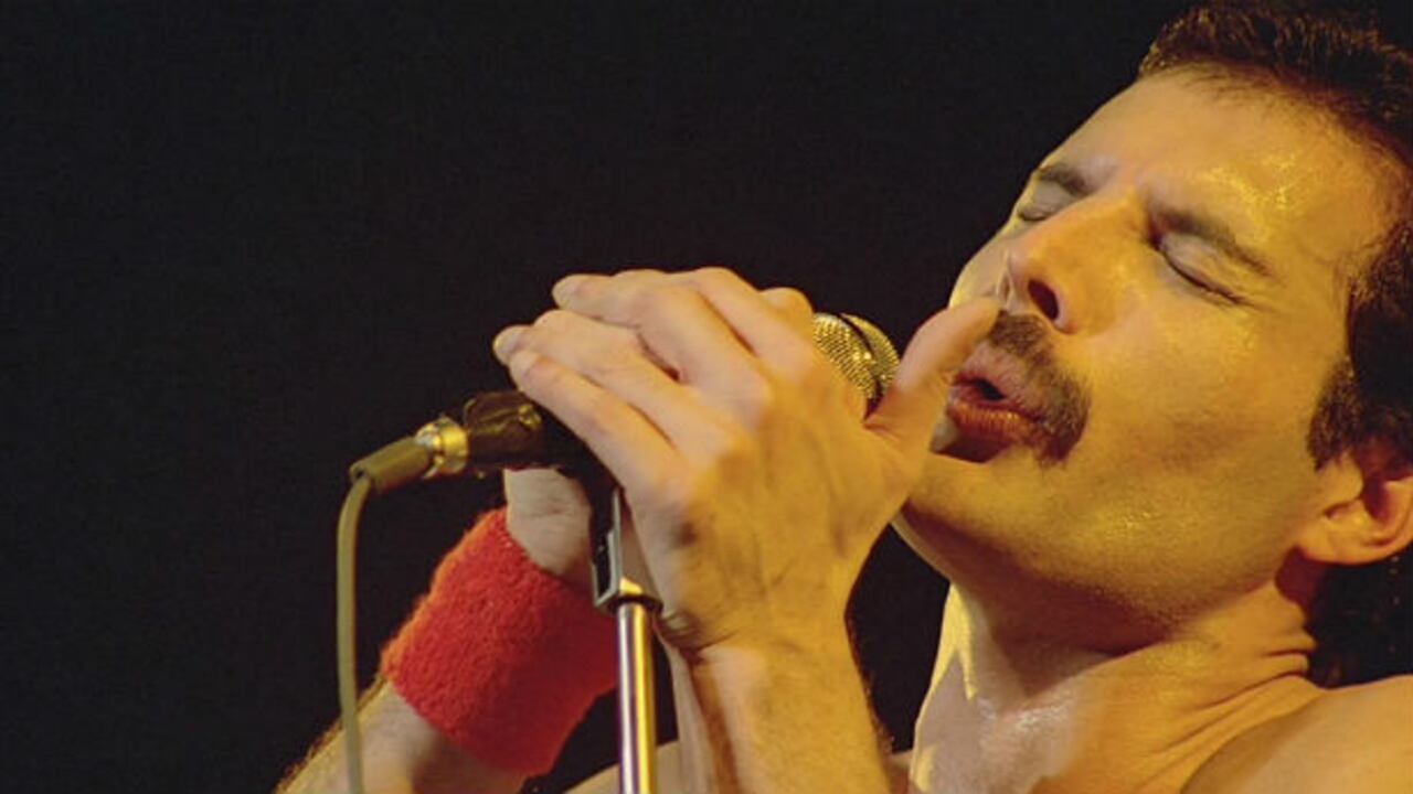 El 24 de noviembre de 2020 se cumplirán 29 años del fallecimiento de Freddie Mercury, cantante de Queen.