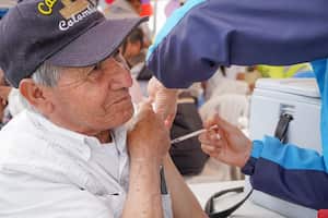 Las vacunas serán recomendadas para aplicar a los grupos priorizados.