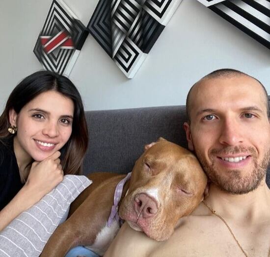 Familia de Romina busca a perrita pitbull perdida en Bogotá