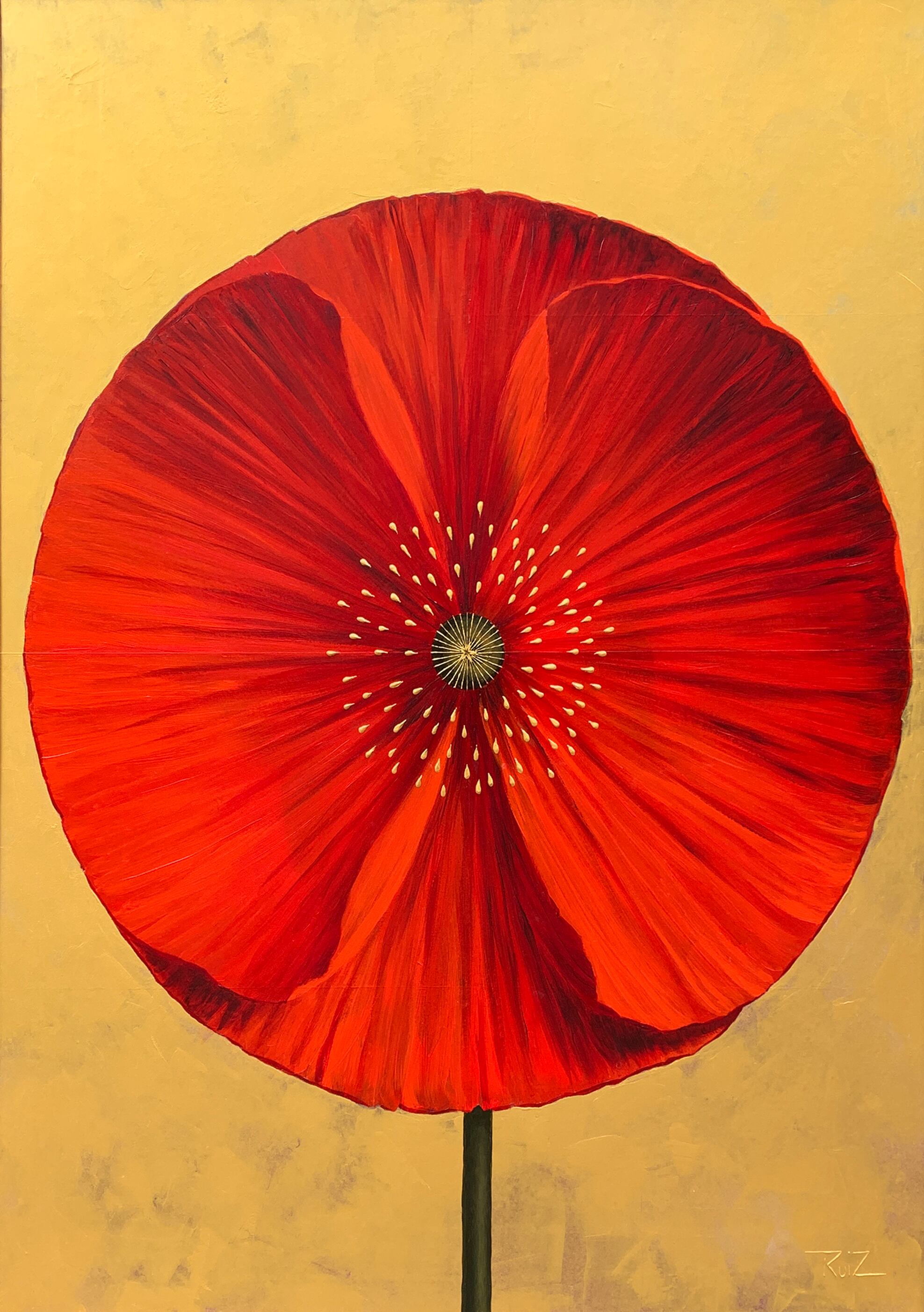 Pedro Ruiz: Amapola, Galeria Beatriz Esguerra, Circuito Chapinero Norte