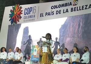 Presentación oficial de Cali como sede de la Cop16