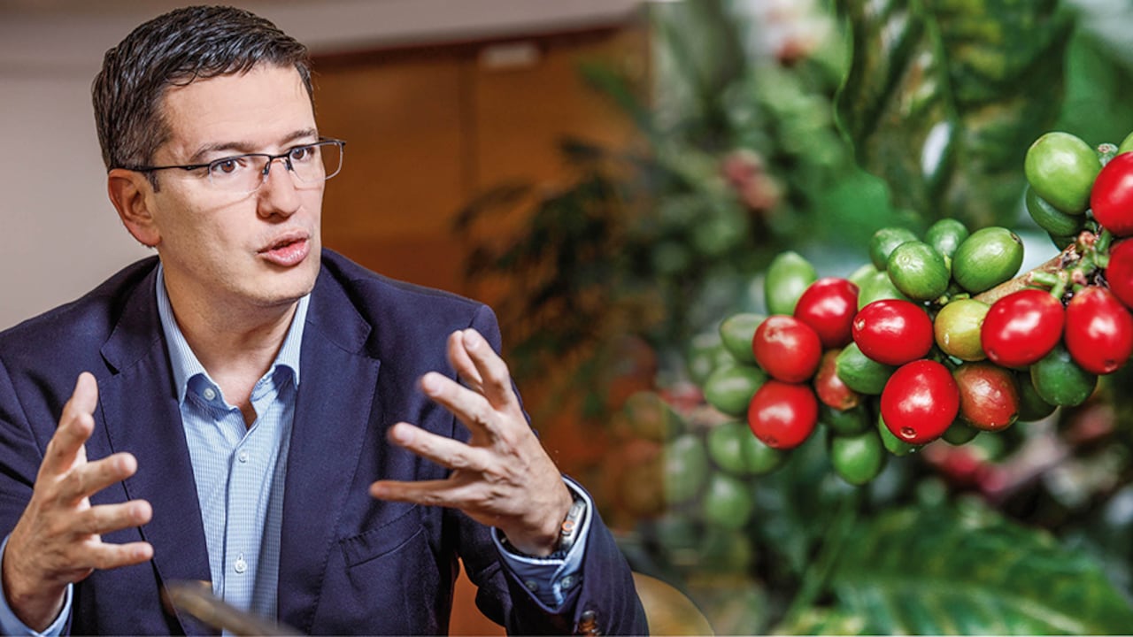 Germán Bahamón, gerente de la Federación Nacional de Cafeteros, advierte que no se puede hablar de una bonanza cafetera. Destaca el buen momento del precio, pero sobre todo de la producción que permite capitalizarlo.