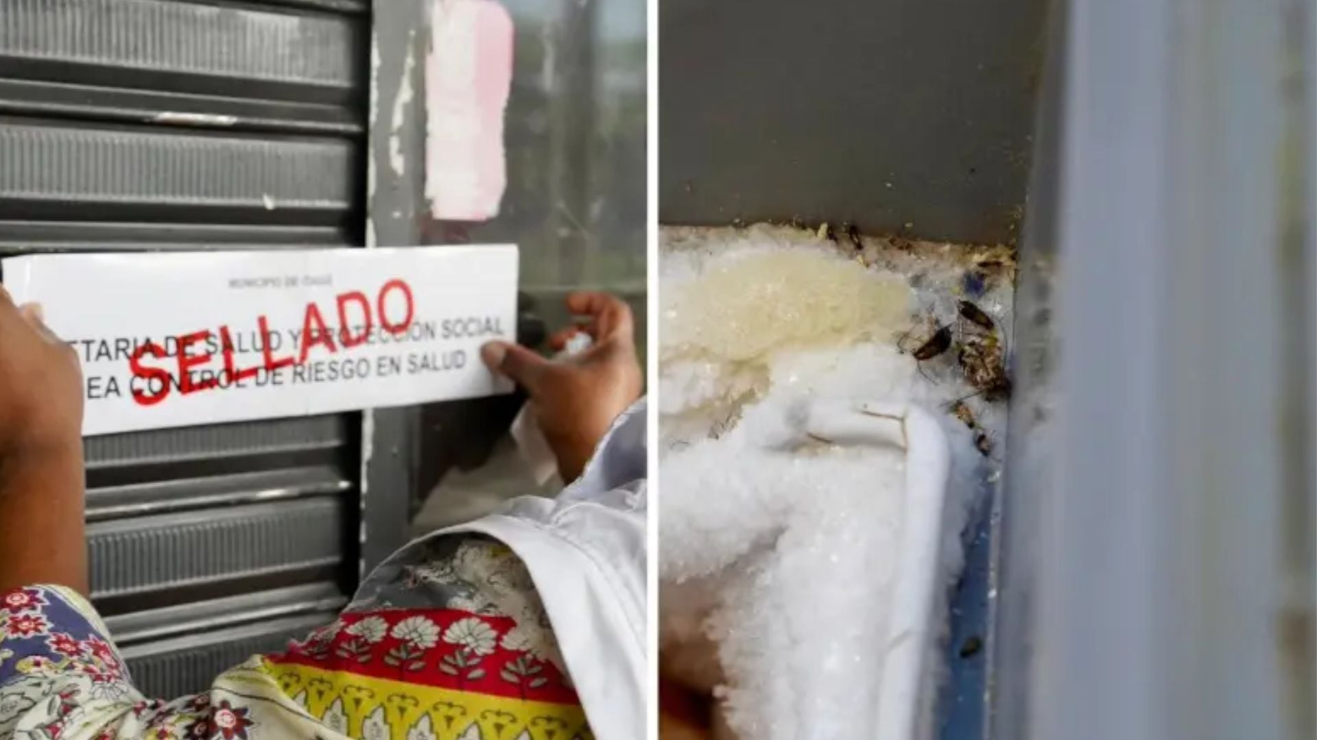 Durante la inspección sanitaria, las autoridades hallaron cucarachas, productos vencidos y múltiples deficiencias de higiene, por lo que ordenaron el sellamiento del establecimiento.