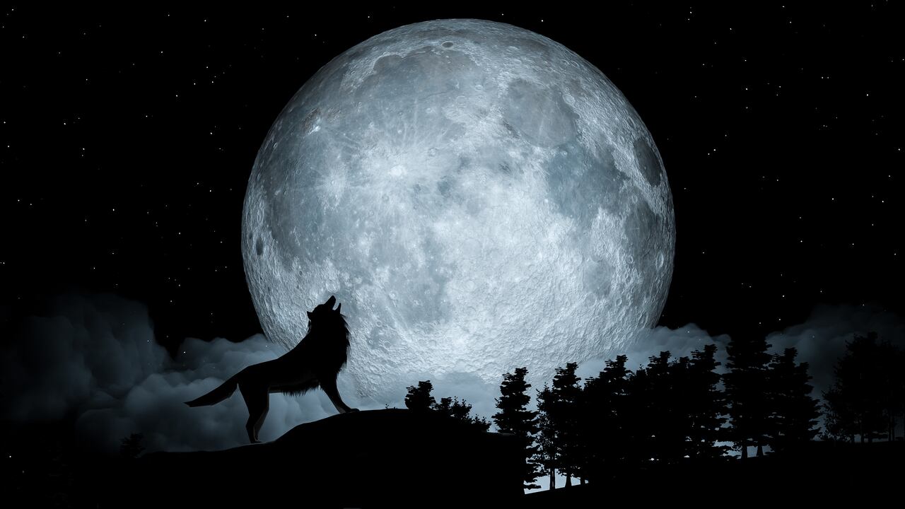 Luna del Lobo- primera luna llena de enero