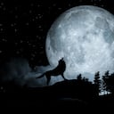 Luna del Lobo- primera luna llena de enero