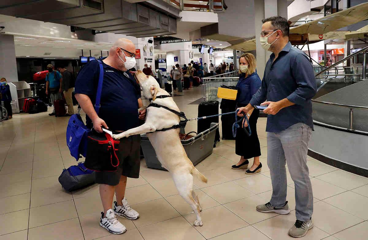 El Dr. Rubinstein es recibido por un perro llamado Dumas, que está con sus dueños  Jorge Cordova y Connie, mientras todos esperan un vuelo a Miami, Florida, desde el aeropuerto Silvio Pettirossi en Luque, en las afueras de Asunción, Paraguay. (Foto AP / Jorge Sáenz)