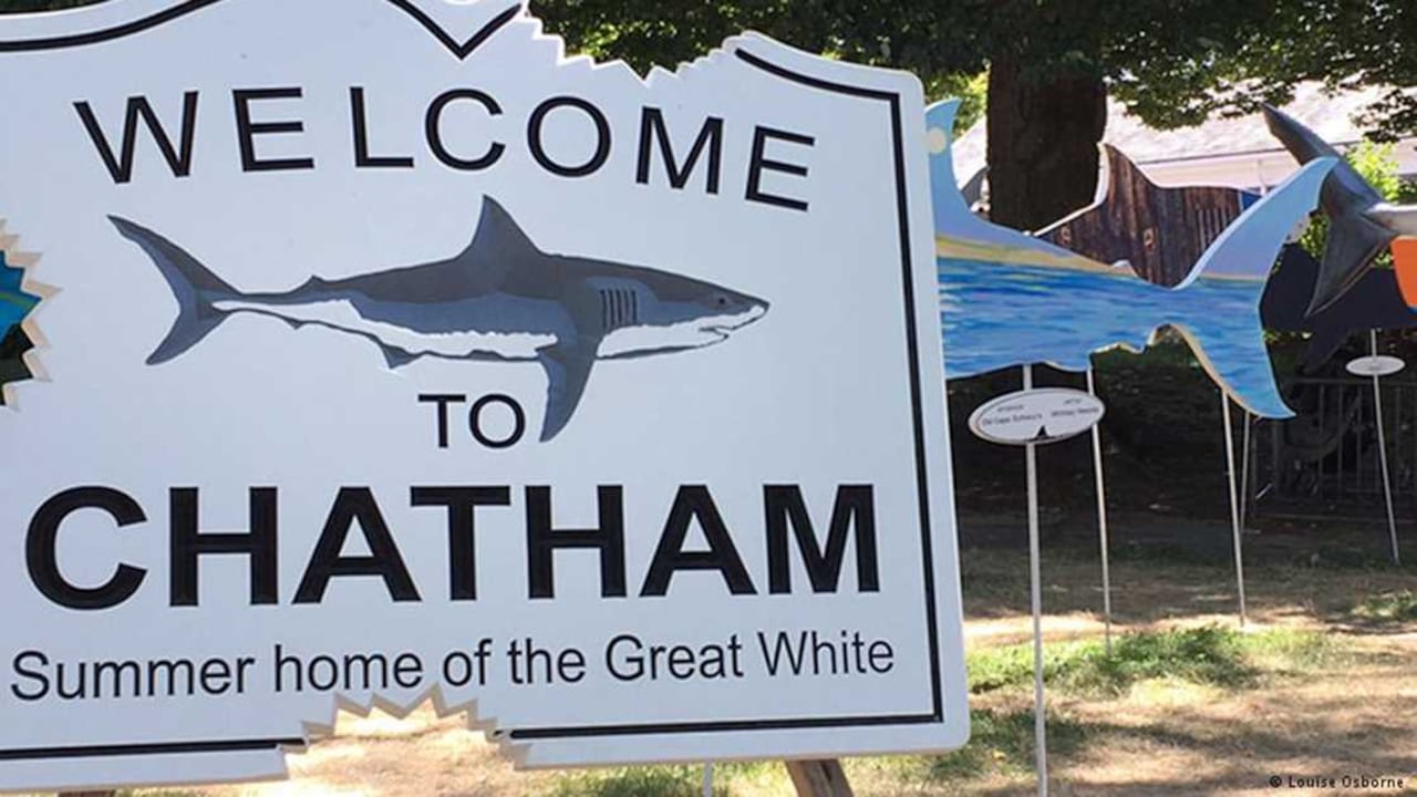 “Bienvenido a Chatham, hogar del gran blanco”.