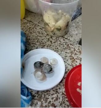 Las dosis de marihuana y cocaína dentro de un caldo de carne.