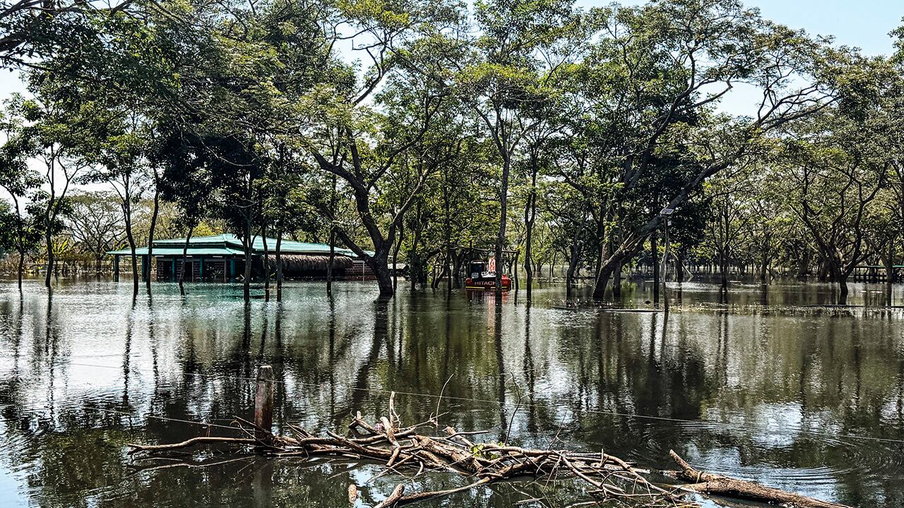 Según los propios habitantes, solo en Martinica hay al menos 800 familias damnificadas. 