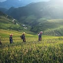 Estos profesionales colaboran estrechamente con el sector agroindustrial para mejorar la eficiencia de las explotaciones agrícolas, garantizando que los métodos de producción sean seguros y sostenibles.