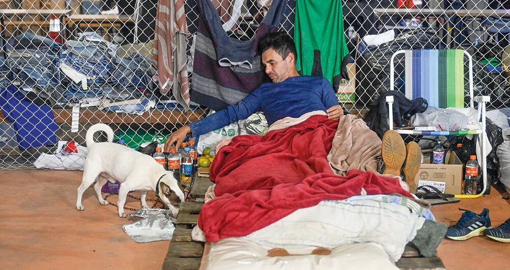 Millones de personas damnificadas junto con sus mascotas. 